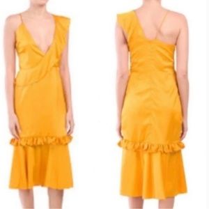 NWT VONE Yuli Anthropologie Gold Ruffle Dress M
